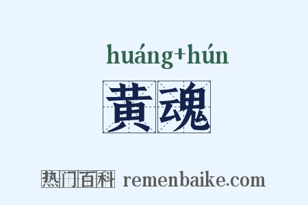 黄魂是什么意思的图片
